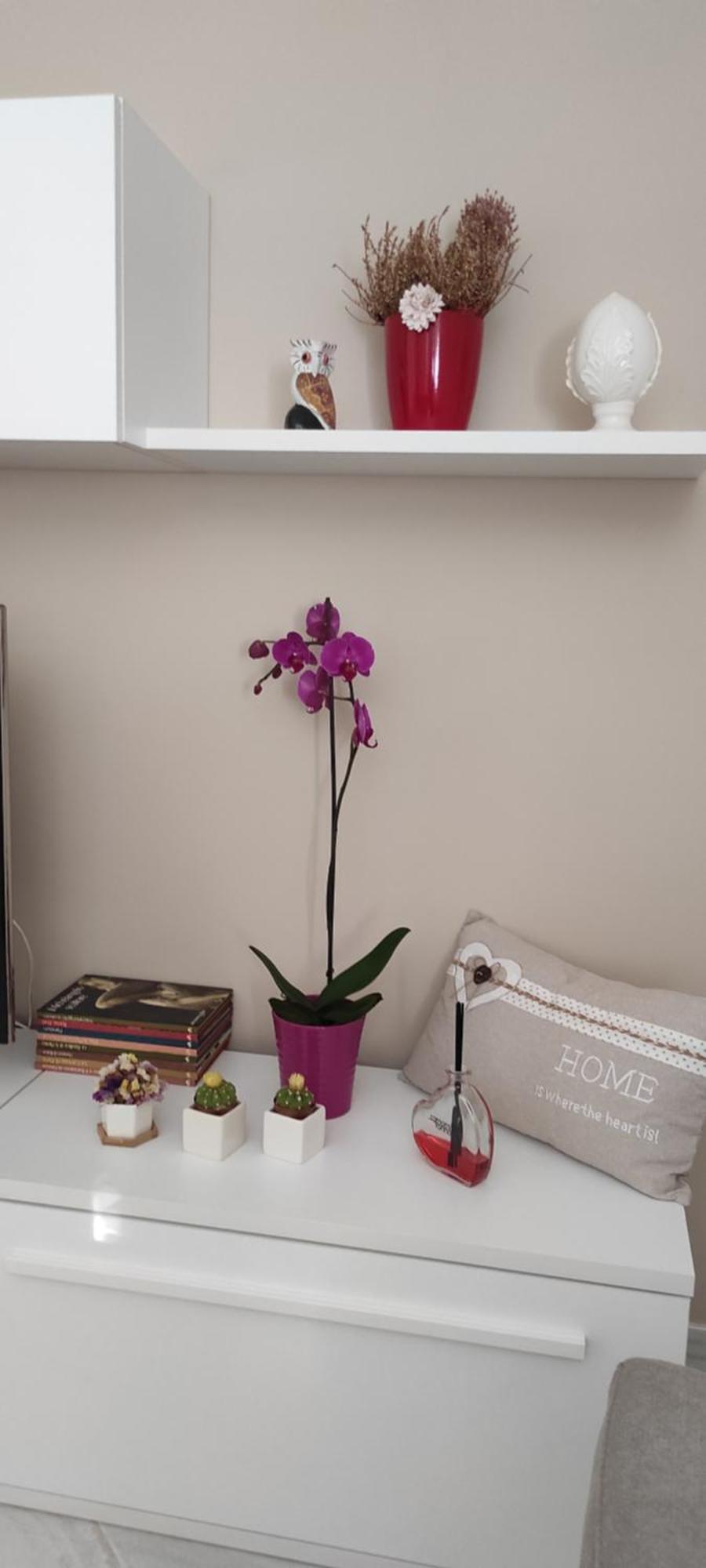 레체 A Casa Di Chiara 아파트 외부 사진